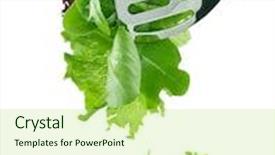  Presentation with chemistry leaves green leaf - PPT theme with oakleaf - salad leaves background and a mint green colored foreground