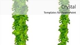  Presentation with letter - Theme consisting of salad letter u background and a white colored foreground