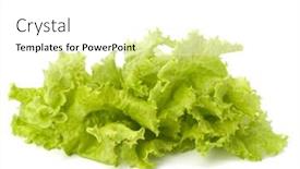  Presentation with lettuce - 