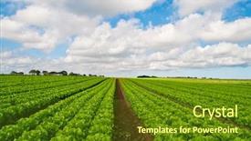  Presentation with agriculture field - PPT layouts consisting of salad on a large agriculture background and a tawny brown colored foreground