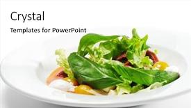  Presentation with duck - PPT layouts consisting of salad with smoke-cured duck breast and chaud-froid sauce background and a white colored foreground