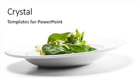  Presentation with breast - Slides having salad with smoke-cured duck breast and chaud-froid sauce background and a white colored foreground