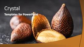  Presentation with salak - Presentation theme featuring salak-fruit-or-snake-fruit background and a dark gray colored foreground