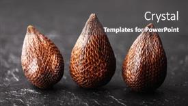  Presentation with salak - PPT theme having salak-fruit-or-snake-fruit background and a dark gray colored foreground