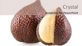  Presentation with salak - Cool new presentation design with salak-salacca-zalacca-or-snake backdrop and a coral colored foreground