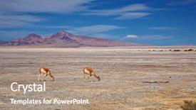  Presentation with desert - Cool new PPT theme with christmas and new year holiday decorations with fur-tree and toys backdrop and a violet colored foreground