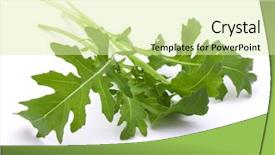  Presentation with green chemistry close up - Presentation featuring salat - close up studio shot background and a soft green colored foreground