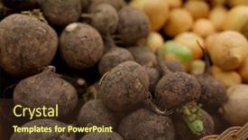  Presentation with food market - Slide deck featuring sale harvest food vegetables and agriculture concept - close up of black radish at grocery store or market background and a tawny brown colored foreground