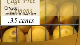  Presentation with for sale sign - PPT theme with sale in a wire cage background and a yellow colored foreground