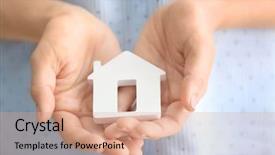  Presentation with house fly insect close up - PPT layouts featuring sales figures - woman holding wooden figure background and a coral colored foreground