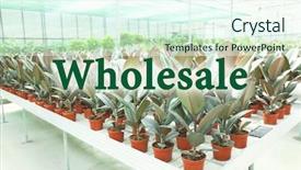  Presentation with wholesale - Audience pleasing presentation theme consisting of sales inventory - wholesale concept huge greenhouse backdrop and a sky blue colored foreground
