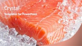  Presentation with salmon fish - Presentation theme consisting of salmon on ice background and a coral colored foreground