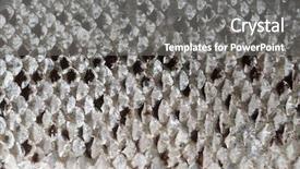  Presentation with fish scales - Beautiful presentation featuring salmon scales macro shot studio backdrop and a gray colored foreground