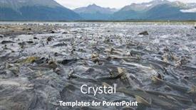  Presentation with salmon - Slides having salmon-spawning-in-alaska-river background and a gray colored foreground