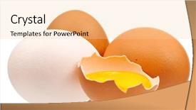  Presentation with chicken poultry farm white layer - Cool new PPT layouts with salmonela - fresh chicken eggs isolated backdrop and a lemonade colored foreground