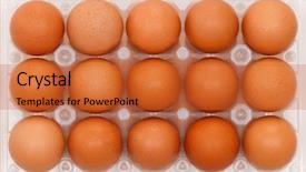  Presentation with plastic - Audience pleasing theme consisting of salmonella - close-up of brown eggs backdrop and a red colored foreground