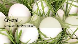  Presentation with eco friendly - Presentation consisting of salmonella - eco-friendly eggs in box close-up background and a soft green colored foreground