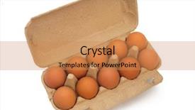  Presentation with eggs egg carton egg box - Presentation theme featuring salmonella - eggs in a box isolated background and a coral colored foreground