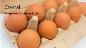  Presentation with salmonella - Beautiful presentation featuring salmonella - eggs in a box isolated backdrop and a coral colored foreground