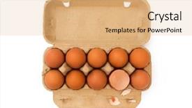  Presentation with salmonella - Colorful PPT theme enhanced with salmonella - eggs in a box isolated backdrop and a coral colored foreground