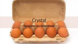  Presentation with salmonella - Presentation having salmonella - eggs in a box isolated background and a coral colored foreground