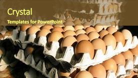  Presentation with salmonella - PPT theme enhanced with salmonella - eggs background and a tawny brown colored foreground