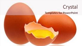  Presentation with salmonella - Colorful PPT layouts enhanced with salmonella - fresh chicken eggs isolated backdrop and a lemonade colored foreground