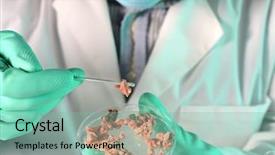  Presentation with salmonella - Cool new theme with salmonella - laboratory worker testing meat backdrop and a seafoam green colored foreground