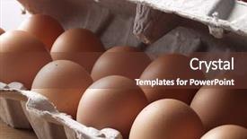  Presentation with salmonella - Colorful slides enhanced with salmonella - lot of fresh brown eggs backdrop and a tawny brown colored foreground