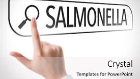 Presentation with salmonella - PPT layouts with salmonella written in search bar background and a white colored foreground