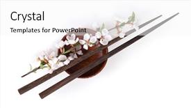  Presentation with soy sauce - PPT layouts with sakura branch over soy sauce background and a white colored foreground