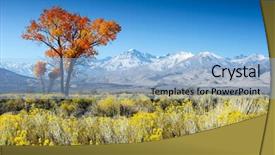  Presentation with landscape desert - Theme enhanced with salt earth - tree in desert landscape usa background and a light blue colored foreground