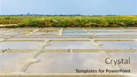  Presentation with marsh - Presentation theme with salt-marsh-in-france-guerande background and a soft green colored foreground