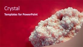  Presentation with microalgae - Beautiful slide set featuring salt mining salty pink lake with crystals of salt extremely salty pink lake colored by microalgae with crystalline salt depositions in torrevieja spain backdrop and a dark gray colored foreground