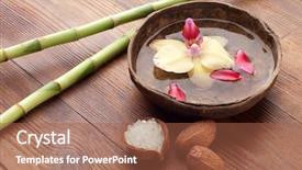  Presentation with spa concept - Presentation theme having salt stress plants - spa concept background and a red colored foreground