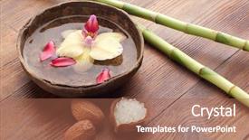  Presentation with spa concept - Slides featuring salt stress plants - spa concept background and a  colored foreground