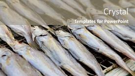  Presentation with fishes - Beautiful presentation design featuring salted-fishes backdrop and a gray colored foreground