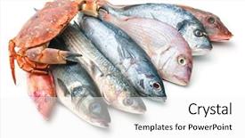  Presentation with seafood - Amazing PPT theme having saltwater crabs - fresh catch of fish backdrop and a white colored foreground