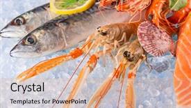  Presentation with seafood - PPT theme having saltwater crabs - fresh seafood on crushed ice background and a coral colored foreground