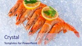  Presentation with seafood - Cool new theme with saltwater crabs - fresh seafood on crushed ice backdrop and a sky blue colored foreground