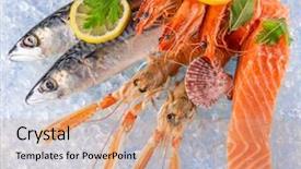  Presentation with seafood - Amazing PPT layouts having saltwater crabs - fresh seafood on crushed ice backdrop and a coral colored foreground