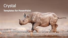  Presentation with salty - Slide set having salty desert plains of etosha background and a violet colored foreground