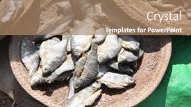  Presentation with salty - PPT layouts featuring salty-fish-on-the-morning background and a coral colored foreground