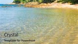  Presentation with salty - Amazing PPT layouts having salty sea dog cute pet backdrop and a mint green colored foreground