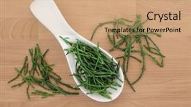  Presentation with coastal - Colorful slide set enhanced with samphire coastal vegetable in a white porcelain spoon over beech wood background backdrop and a coral colored foreground