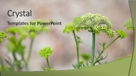  Presentation with britain - Colorful presentation theme enhanced with samphire or sea fennel backdrop and a soft green colored foreground