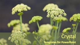  Presentation with britain - Audience pleasing slide deck consisting of samphire or sea fennel backdrop and a tawny brown colored foreground