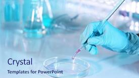  Presentation with pipette - Audience pleasing PPT layouts consisting of sample in petri dish backdrop and a light blue colored foreground