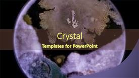  Presentation with fungi - Presentation consisting of samples-of-petri-dishes background and a tawny brown colored foreground