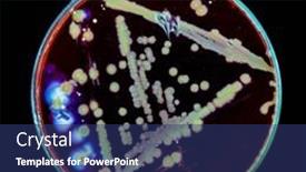  Presentation with fungi - Presentation theme having samples-of-petri-dishes background and a ocean colored foreground